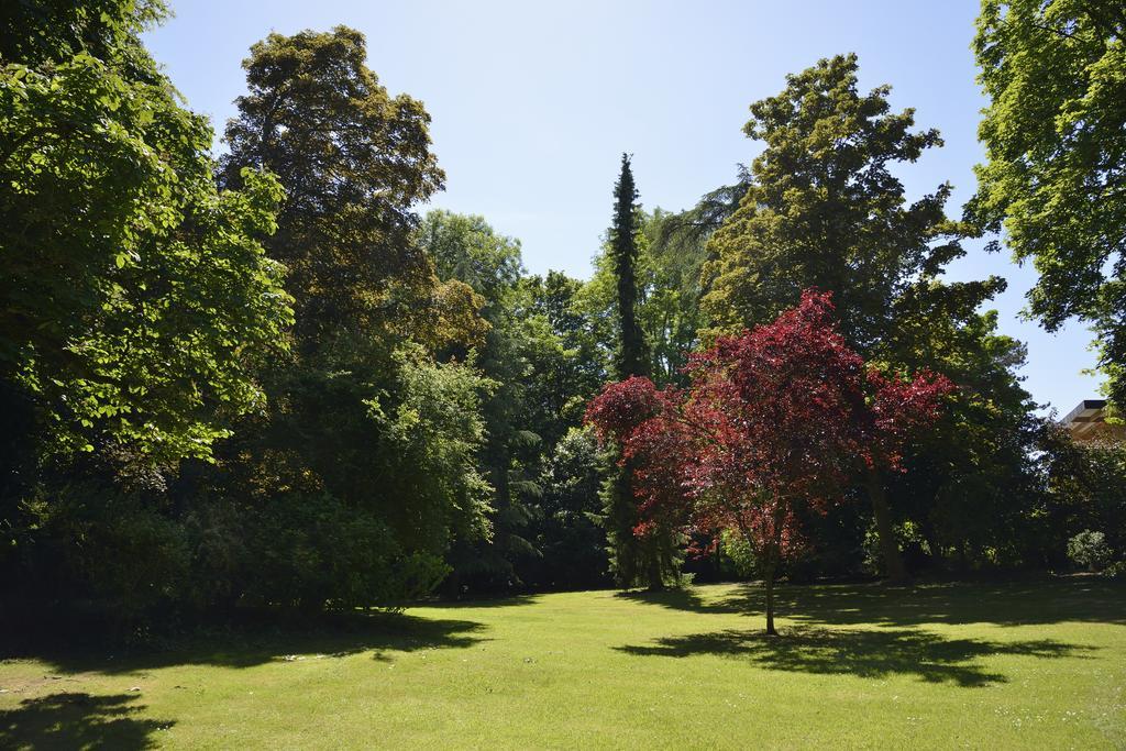 Le Chateau D'Hermonville B&B / Chambres D'Hotes Buitenkant foto